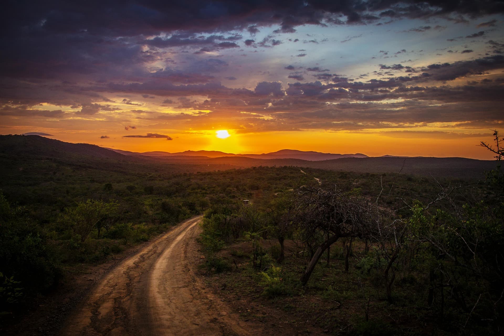 Weep Not for Roads Untraveled